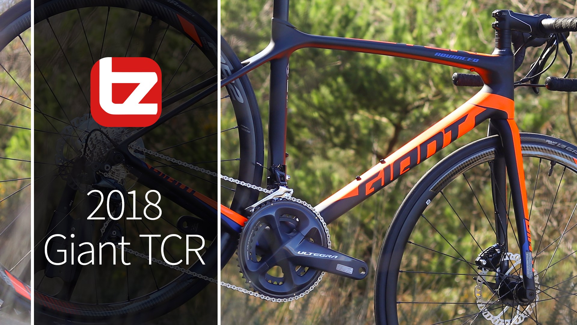 2018 Giant TCR Range Review